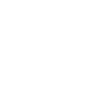 icons8-cv-100